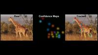 LEAP Tracking Giraffe Motion through Deep Neural Networks