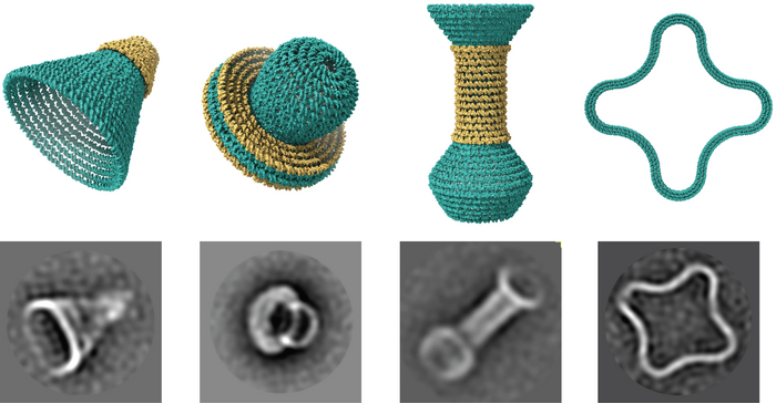 Tiny rounded nanostructures made of DNA