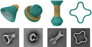 Tiny rounded nanostructures made of DNA