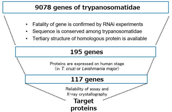 Search Method for Target Proteins Using iNTRODB