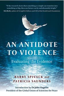 An Antidote to Violence: Evaluating the Evidence