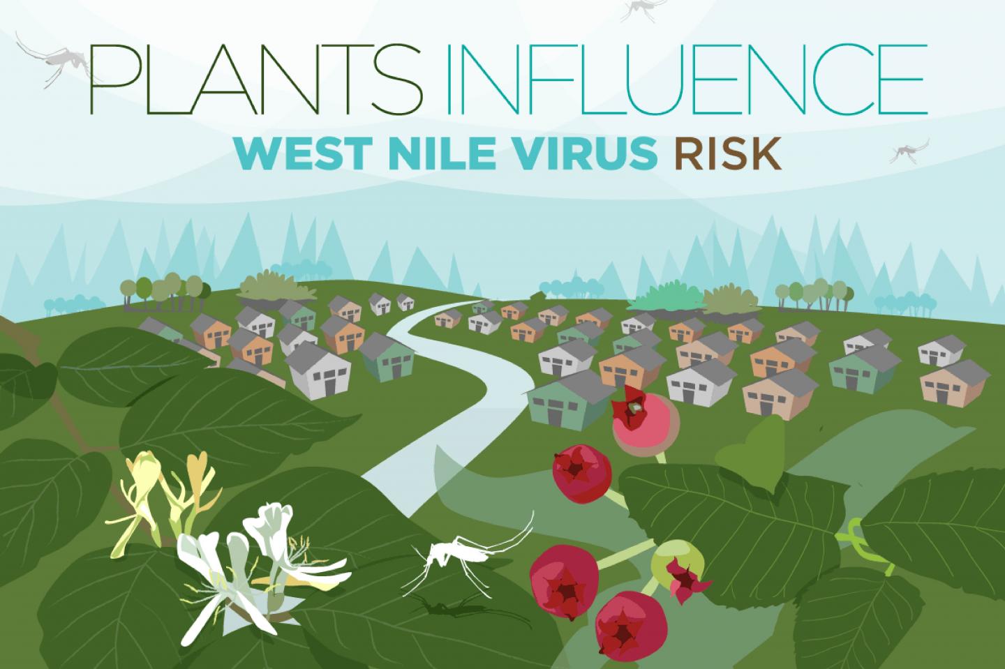 Plants and West Nile Virus Risk
