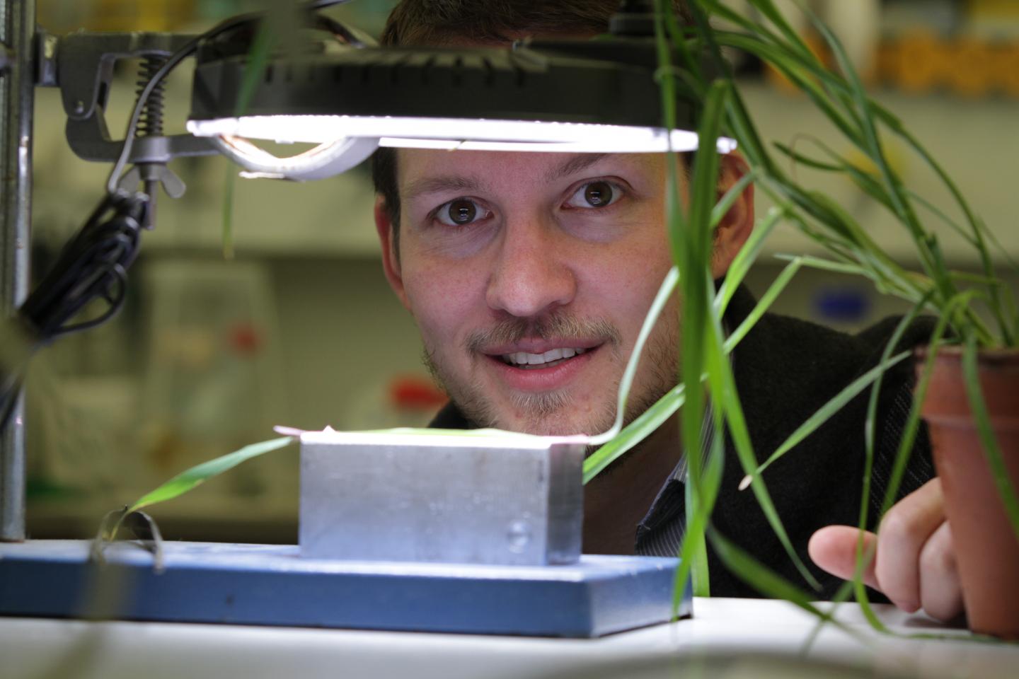 Berkley Walker, University of D&uuml;sseldorf