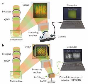 Comparison of imaging results between DIP-SPD and commercial cameras in complex environments.