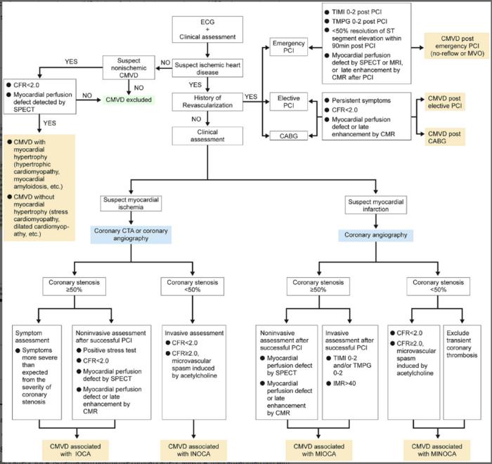 Diagram of the diagnostic flow for CMVD