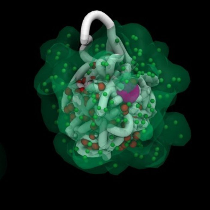 Combining lab data with supercomputing power reveals role of RNA and chromosome structure in regulating gene expression