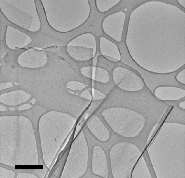 Atomically Thin Tin-Sulfide Nanosheet