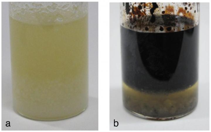 Oil and Water Produced from Interstellar Organic Matter Analog