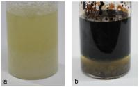 Oil and Water Produced from Interstellar Organic Matter Analog