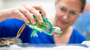 Hannah Stuart demonstrating mole crab-inspired robot EMBUR