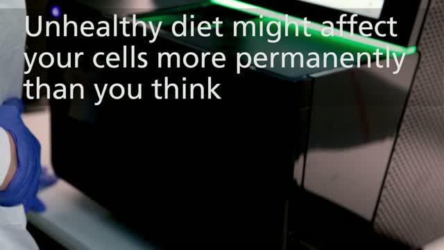 Fat Cells Seem to Remember Unhealthy Diet
