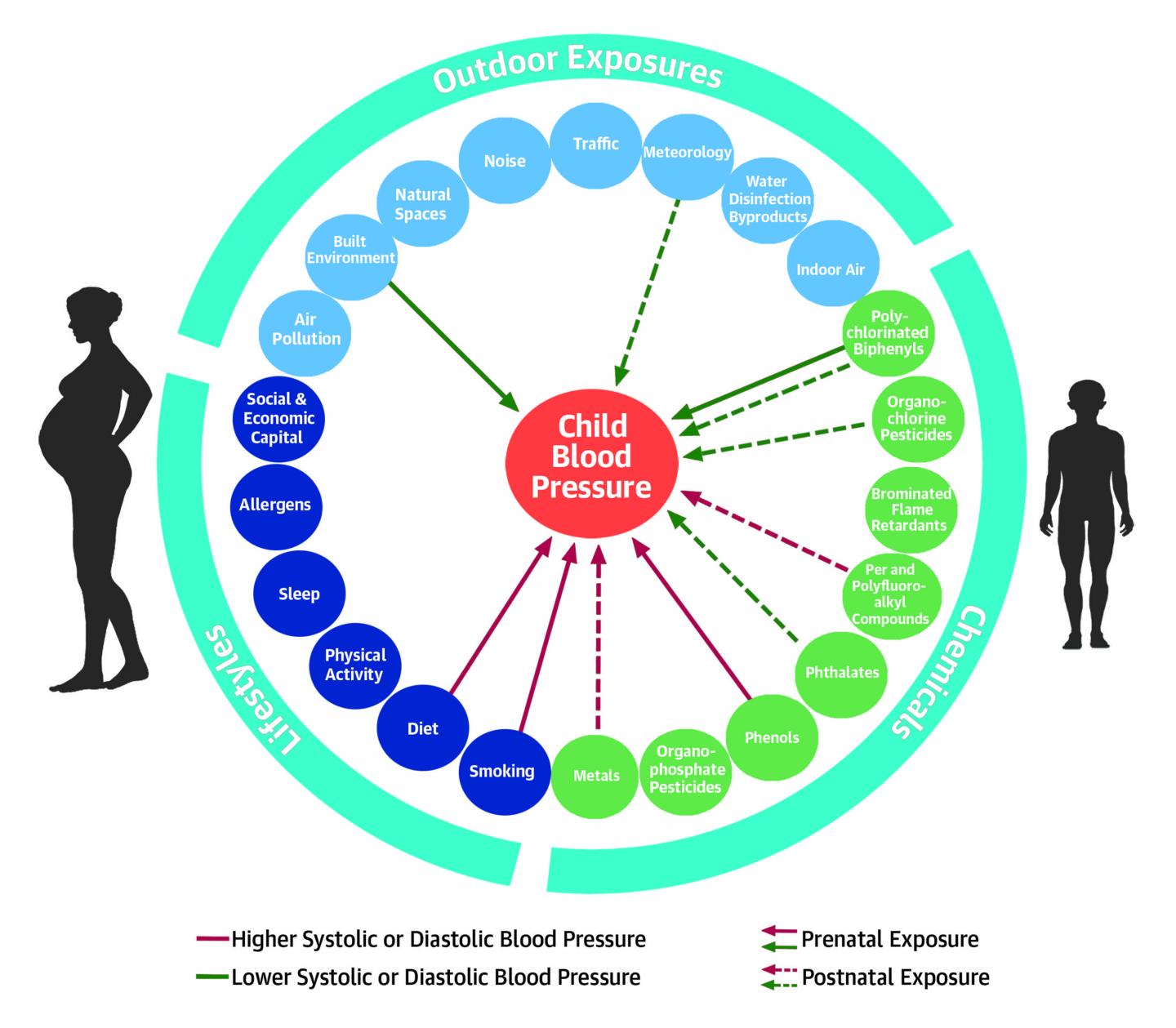 Early-Life Environmental Exposures and Blood Pressure in Children