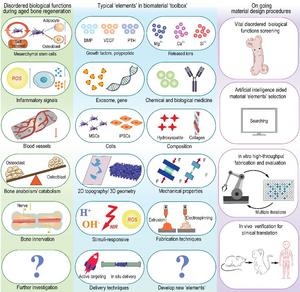 Materiobiology reshaping the development process of aging bone regeneration materials