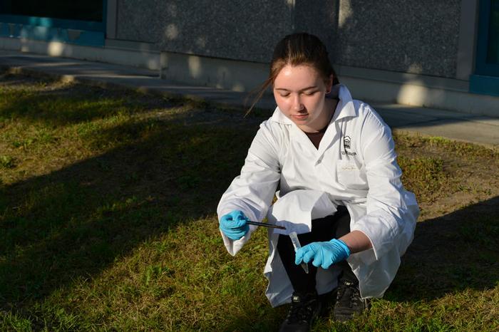 Engouement viral : des étudiants de premier cycle de la Faculté de médecine de l’Université d’Ottawa plongent dans le monde vaste et étrange des phages