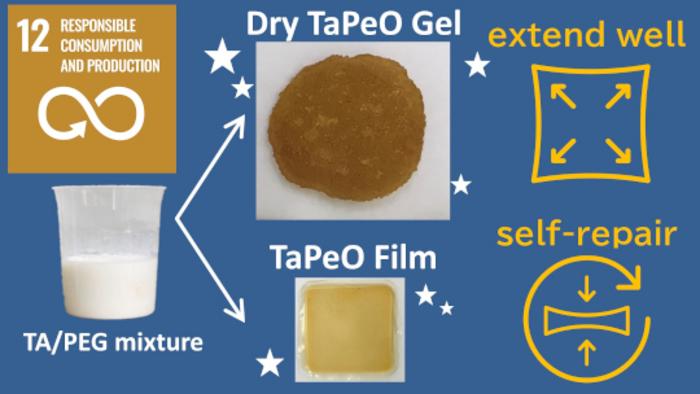 Zero-Waste Synthesis of New Supramolecular Gels And Films 2