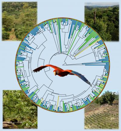 Recently Evolved Species Cope Better with Changing Land Use (9 of 9)