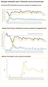 Telehealth use trends in Michigan by insurance type