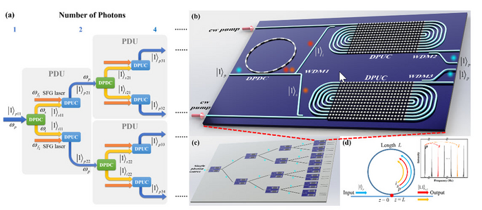 (a) Scheme for deterministic N-photon state generation. (b) The PDU layout on chip. (c) On-chip design for N-photon Fock state. (d) DPDC process in the microring resonator.