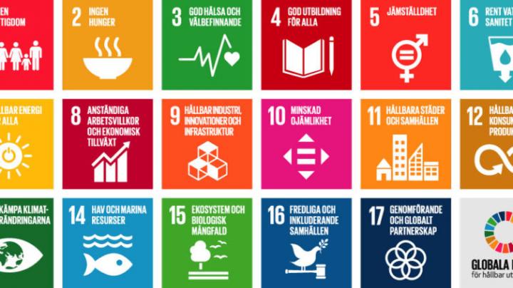 SSF Funds Four National Research Centers in the Agenda 2030 Call