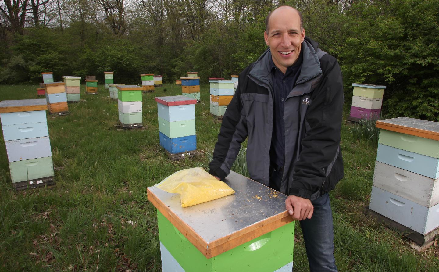 Multiple Agricultural, Urban Pesticides Found in Bee Pollen