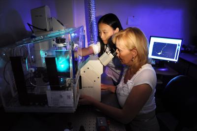 Dr. Ella Bossy-Wetzel, Wenjun Song, University of Central Florida