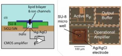 Integrated Circuit Chip