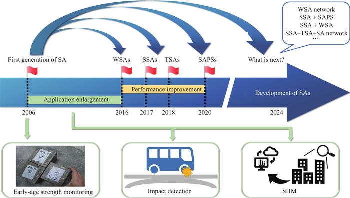 Overview of the development and application of SAs.