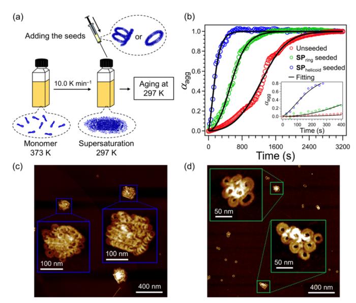 A step closer to next generation sustainable supramolecular polymers