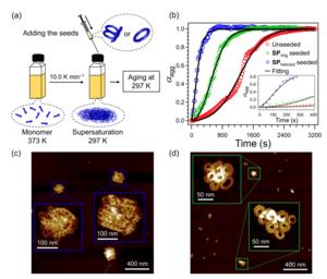 A step closer to next generation sustainable supramolecular polymers