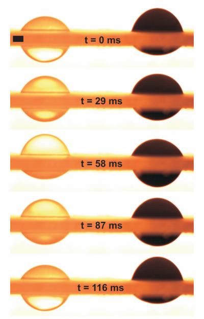 Liquid Pistons (2 of 2)