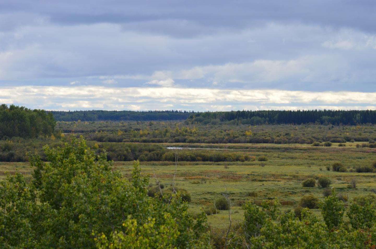 Peace-Athabasca Delta