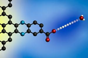 Applying an electric potential causes a proton to transfer from a hydronium ion (at right) to an electrode's surface.