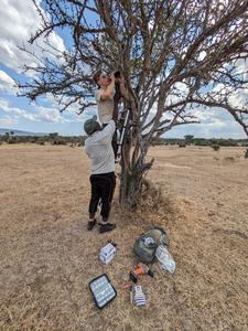 Deploying camera traps and microphones