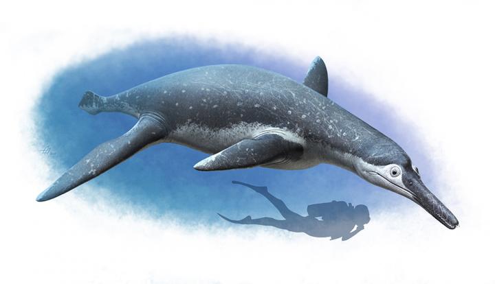 The Life Reconstruction of <em>Luskhan itilensis</em>