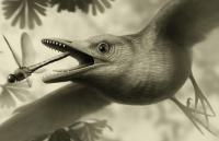Reconstruction of a 125 Million-Year-Old Bird