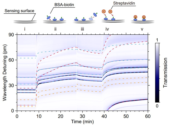 Resonance shifts of the three kinds of modes during the sequential addition of citrate buffer