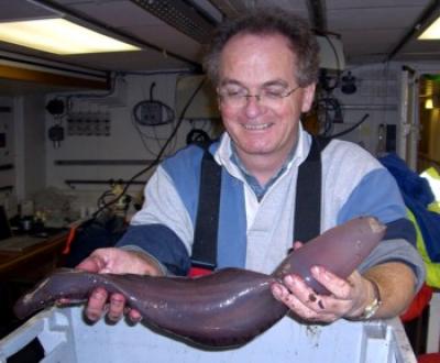 Dr. David Billett, National Oceanography Centre, Southampton (UK)