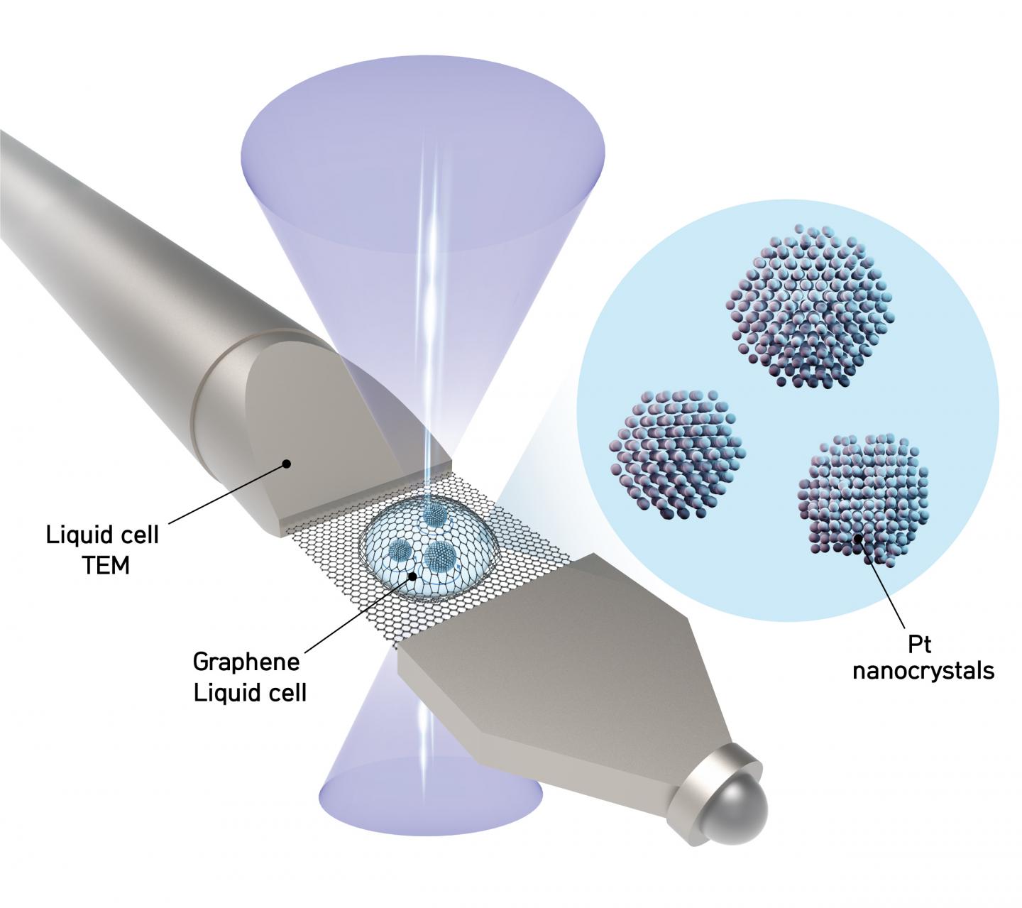 Obtaining 3D Structures at Atomic Resolution in a Liquid
