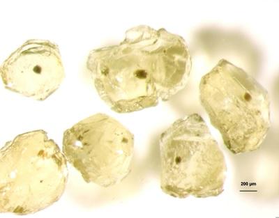 Melt Inclusion (2 of 2)