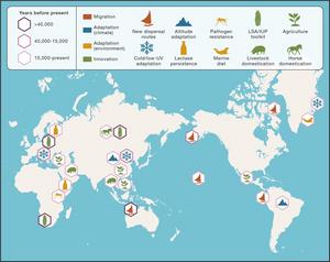 Events in modern human prehistory that have increased overall population fitness, in turn supporting further survival and expansion of the global modern human population