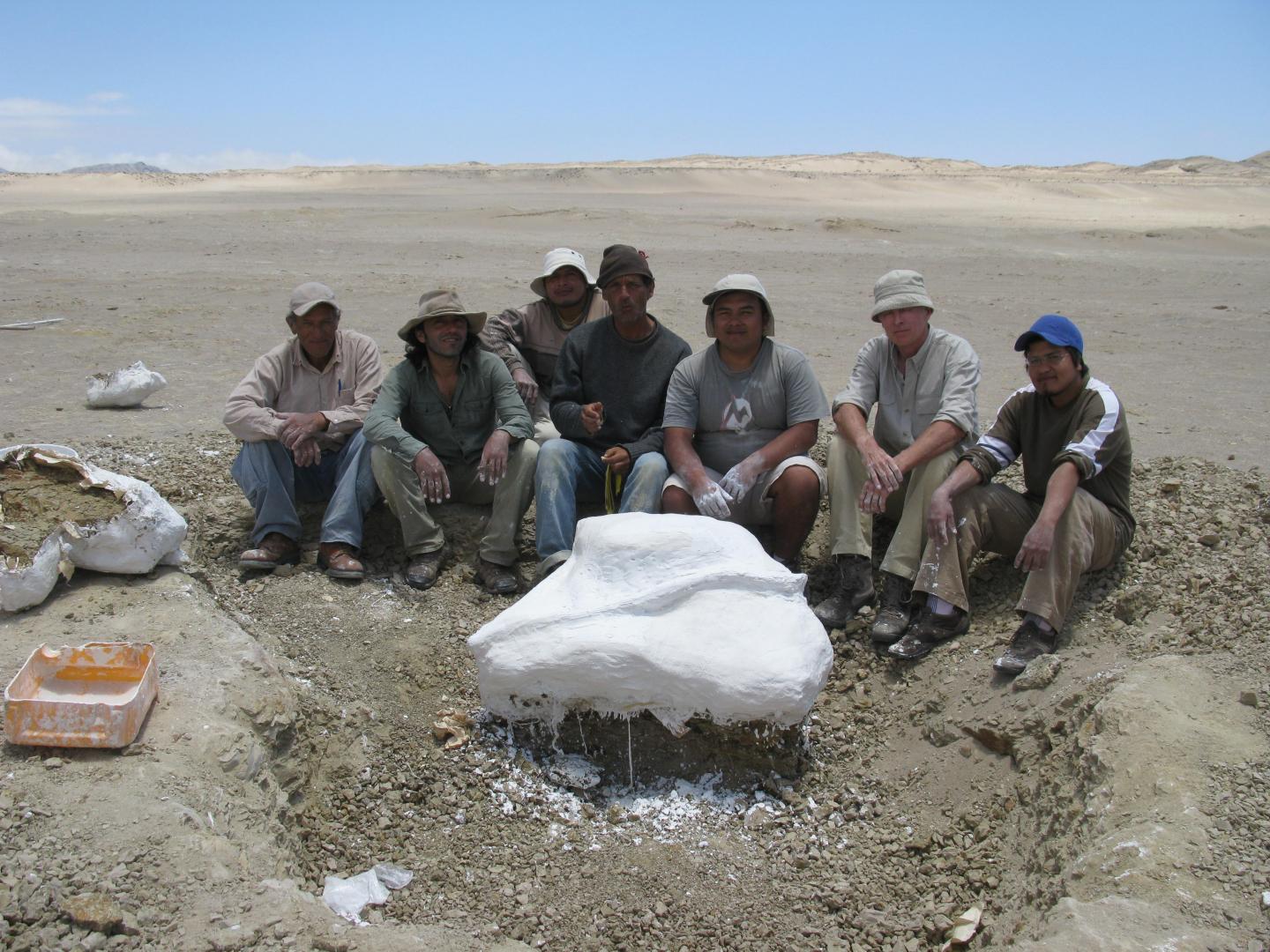 <i>Mystacodon selenensis</i> Excavation Team