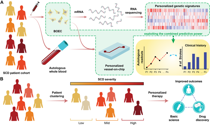 PersonalizedBloodVessels