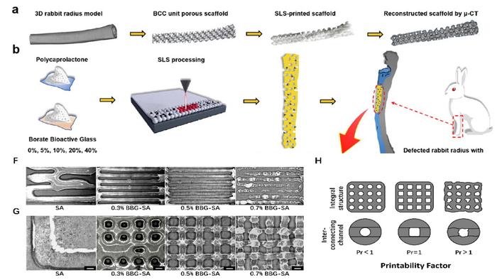 3D Bioprinting Materials Developed for Bone and Soft Tissue Repair