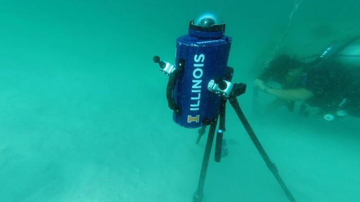 Camera underwater