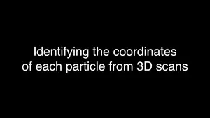 Identifying the coordinates of each particle from 3D scans