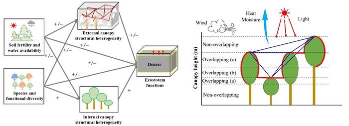 A conceptual model for linking multivariate relationships among environmental conditions, species diversity and functional diversity, structural diversity, and annual forest productivity