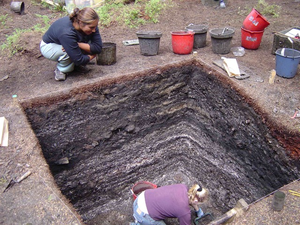 Dense shell midden deposit spanning the past 1,000 years as exposed during excavation at a Tseshaht First Nation village in the Pacific Northwest