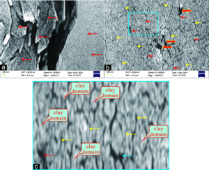 Nanopores and nanofissures in the clay layers of Gulong shale