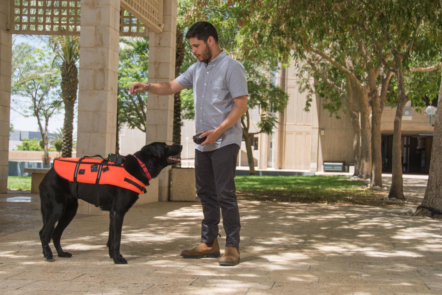 Ben-Gurion U. Researcher Trains Dog to Respond to Haptic Vibration Commands