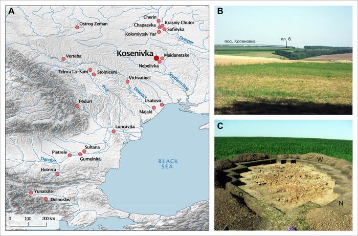 Life and death in Trypillia times: Interdisciplinary analyses of the unique human remains from the settlement of Kosenivka, Ukraine (3700–3600 BCE)